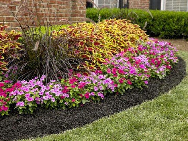There are many different types of flowers in the garden.