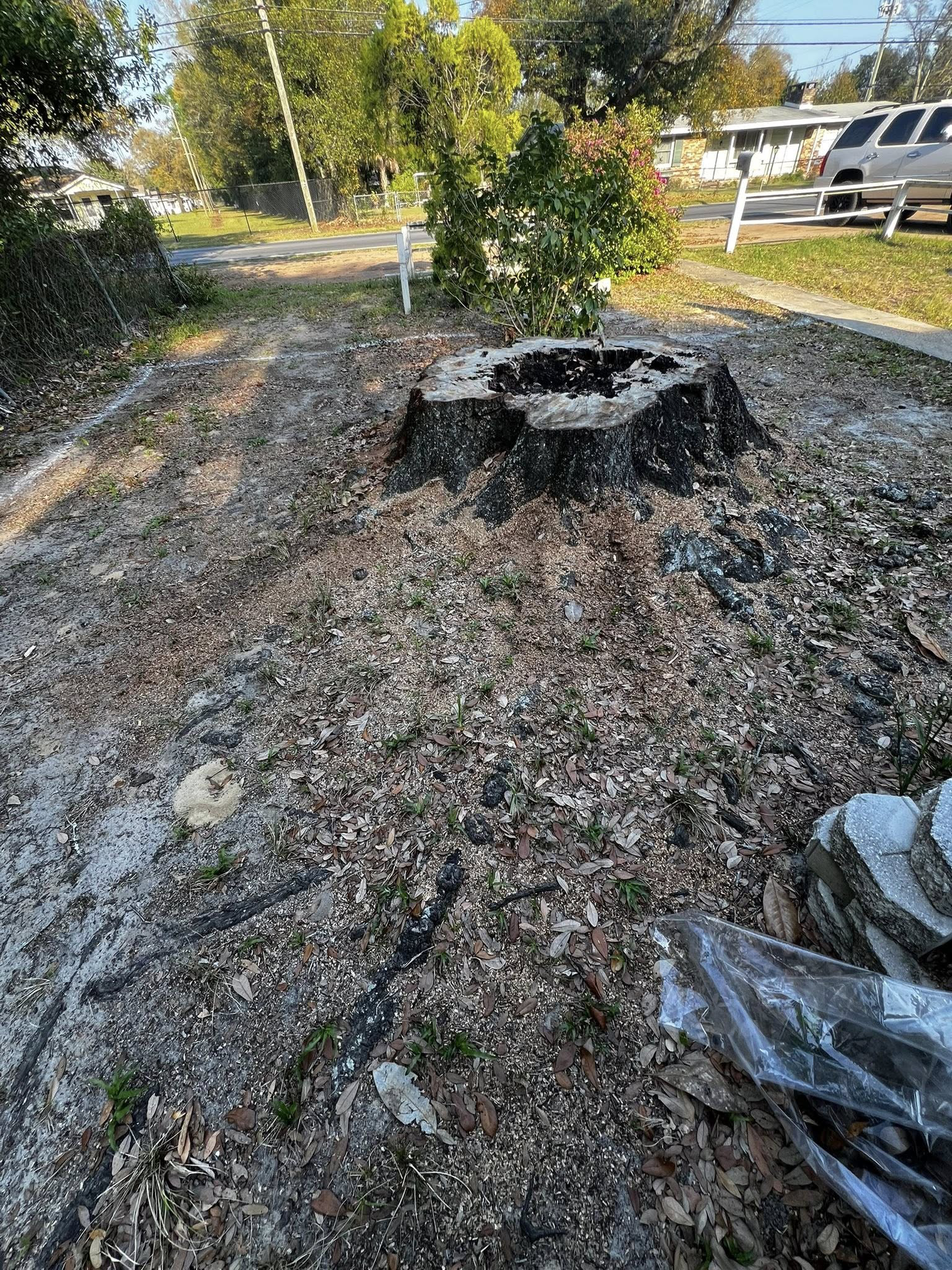 A dark, weathered tree stump sits in a yard covered with wood chips and scattered debris on a sunny day.