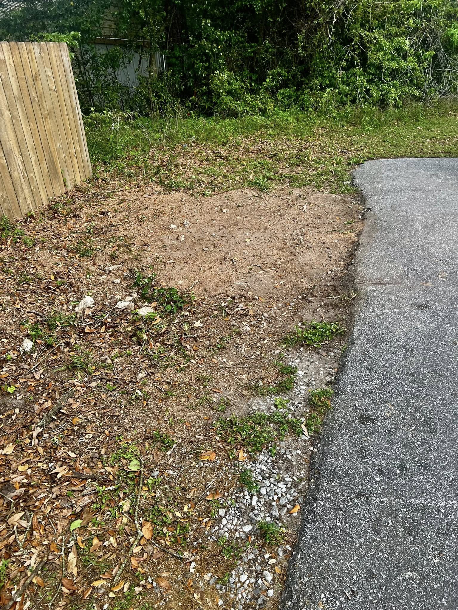 A patch of bare, dry soil and scattered leaves sits between a wooden fence and an asphalt driveway.