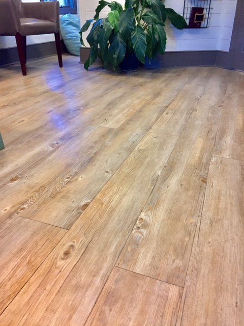 Wood-look laminate flooring in a room with a potted plant and chair in the background