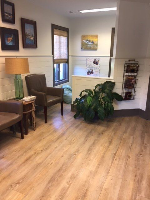 Waiting room with chairs, table lamp, wall art, brochure rack, and large potted plant on wood flooring.