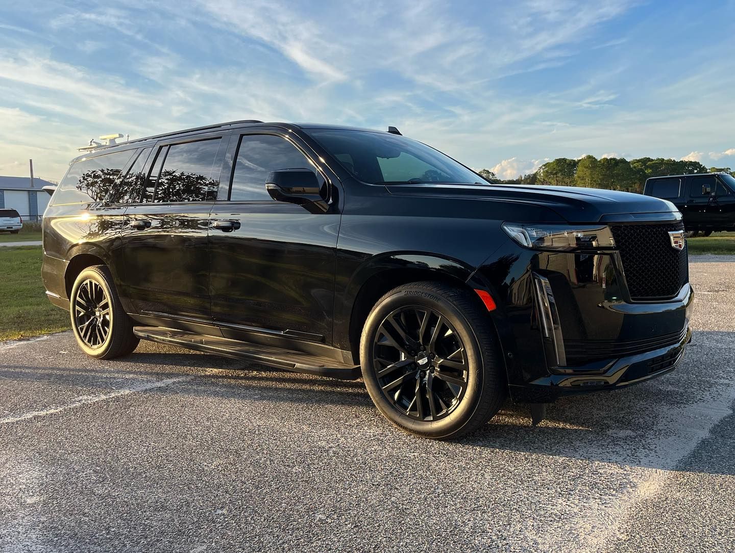 privacy window tint for cars