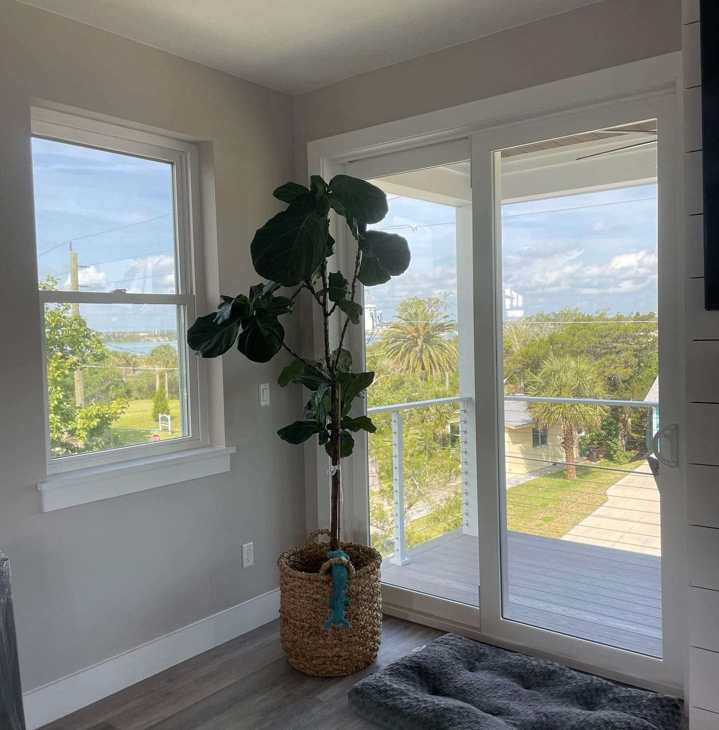 ceramic window film near me