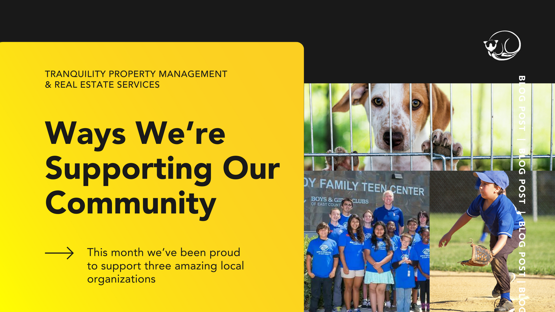 Proactive Property Management blog header image