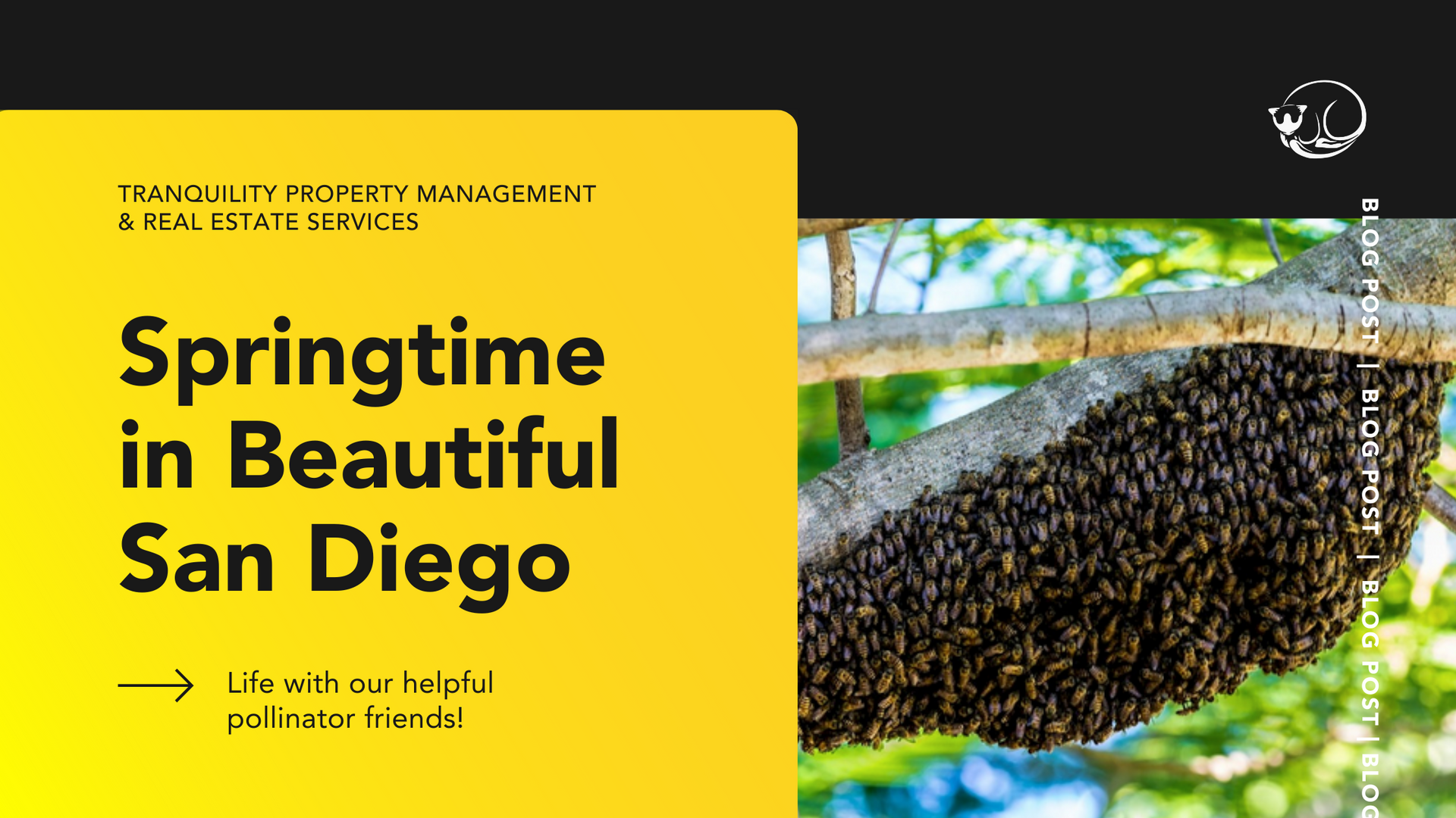 Springtime in San Diego blog header image