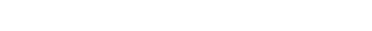 Blank white horizontal rectangle.