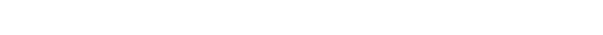 Blank white horizontal rectangle with a thin light-gray outline