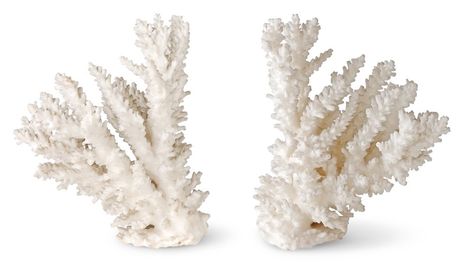 Pair of white coral-like decorative branches on a white background