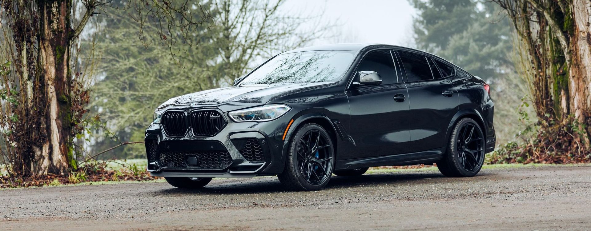 A black bmw x6 m is parked on the side of a road next to trees. | The Euro Shop