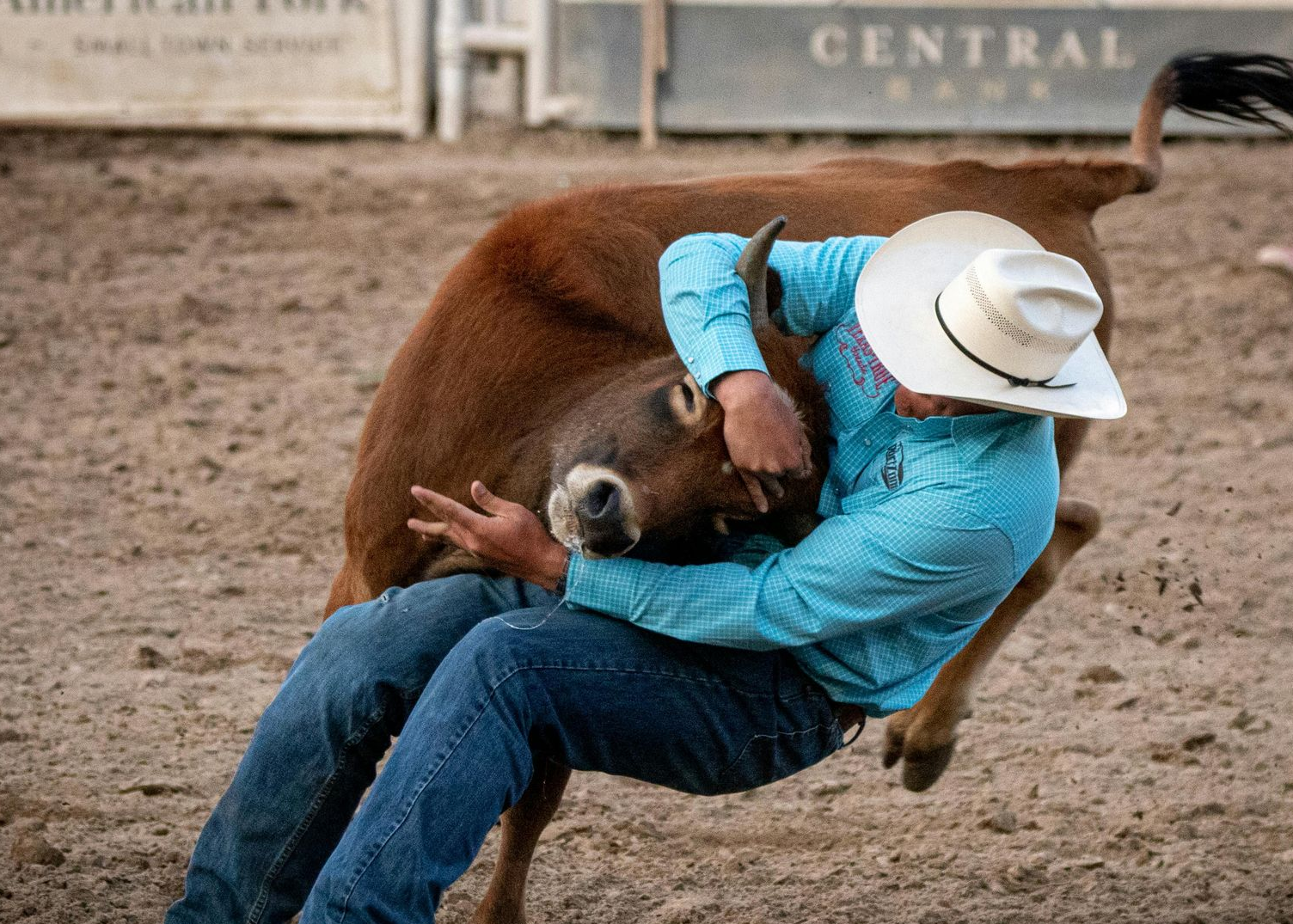 Rodeo rider