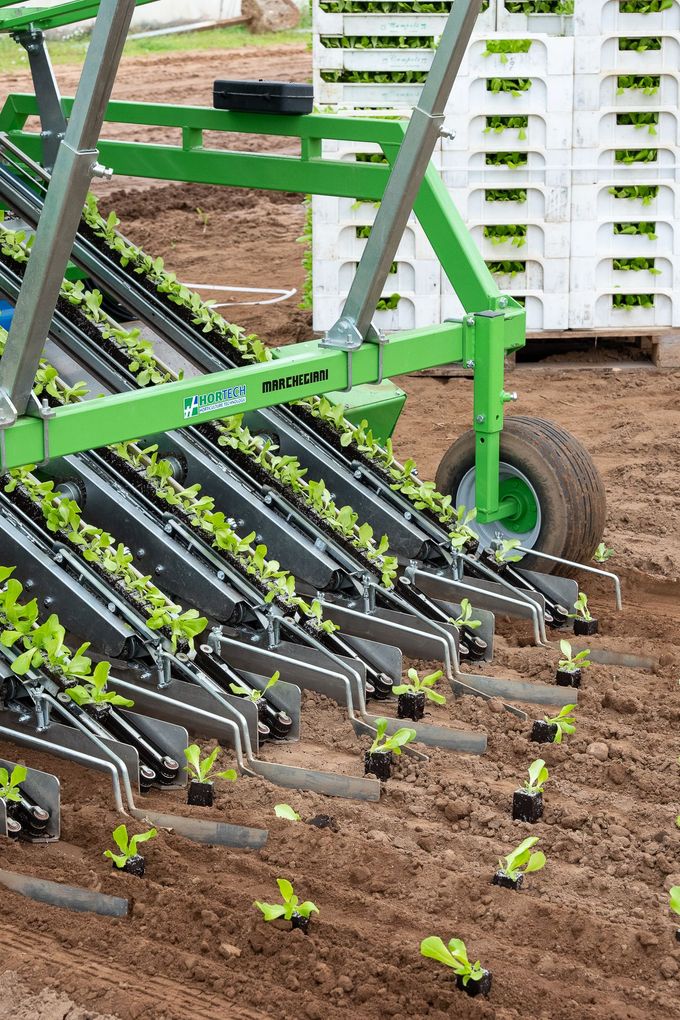 Una seminatrice agricola verde sta posizionando le piantine in file di terreno marrone in un campo agricolo.