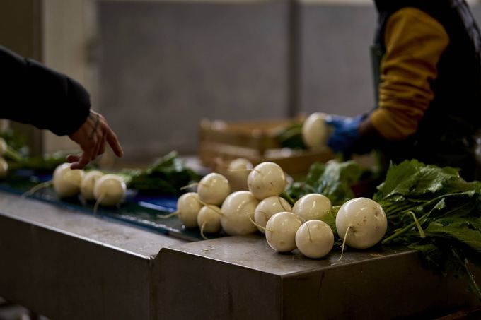 Mani che selezionano cipolle bianche su un tavolo di metallo in una cucina o in un mercato.