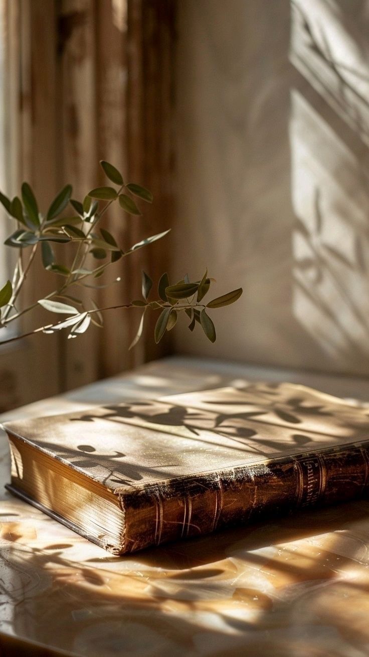 Een zonovergoten, met leer gebonden boek op een houten ondergrond met schaduwen van bladeren en een plantentak in de buurt.