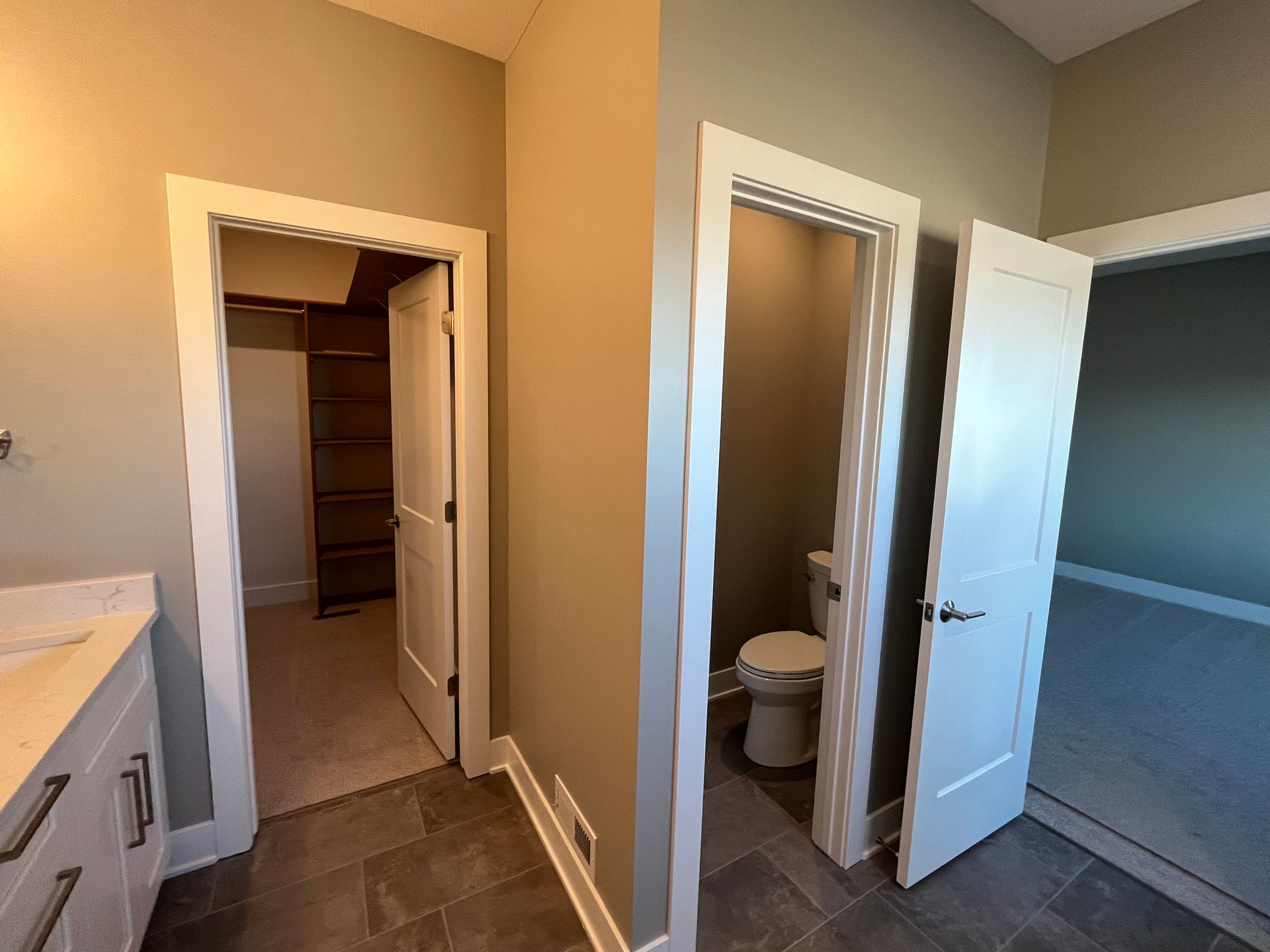 A bathroom with a sink , toilet and walk in closet.