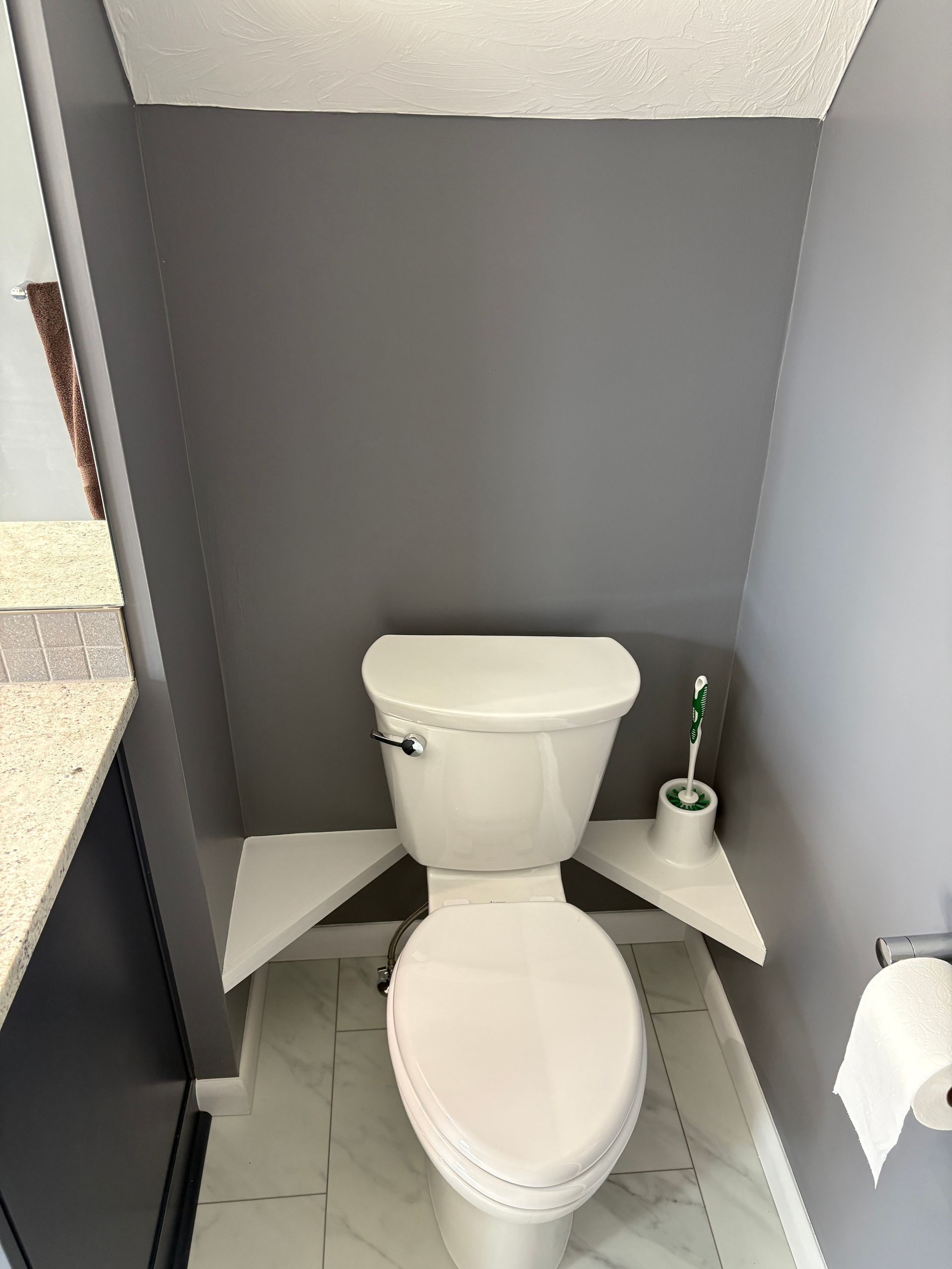 A toilet in a bathroom with a plant on a shelf next to it.