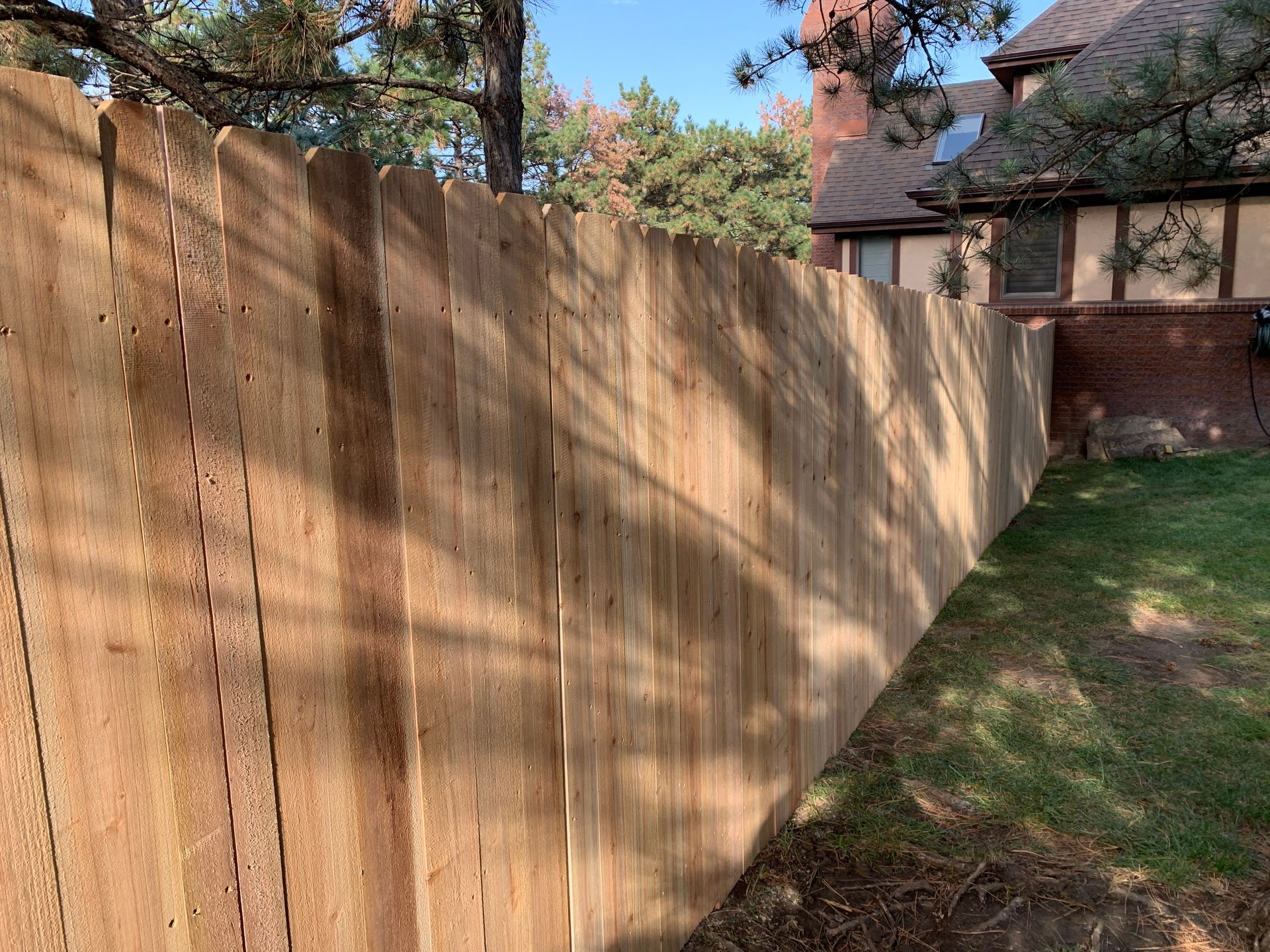 Wooden fence in a sunny yard, with a house and trees in the background.