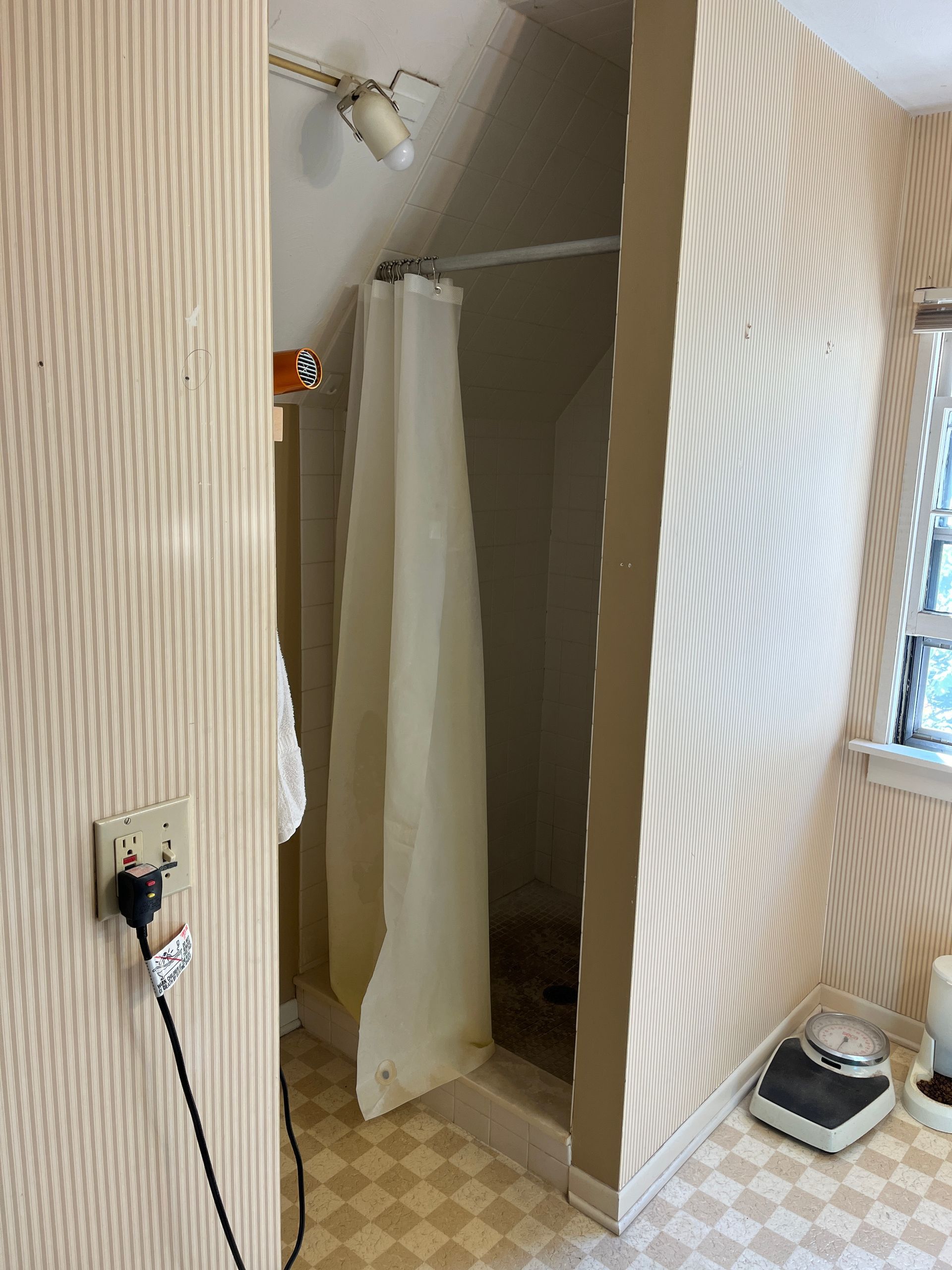 A bathroom with a shower curtain and a scale on the floor.