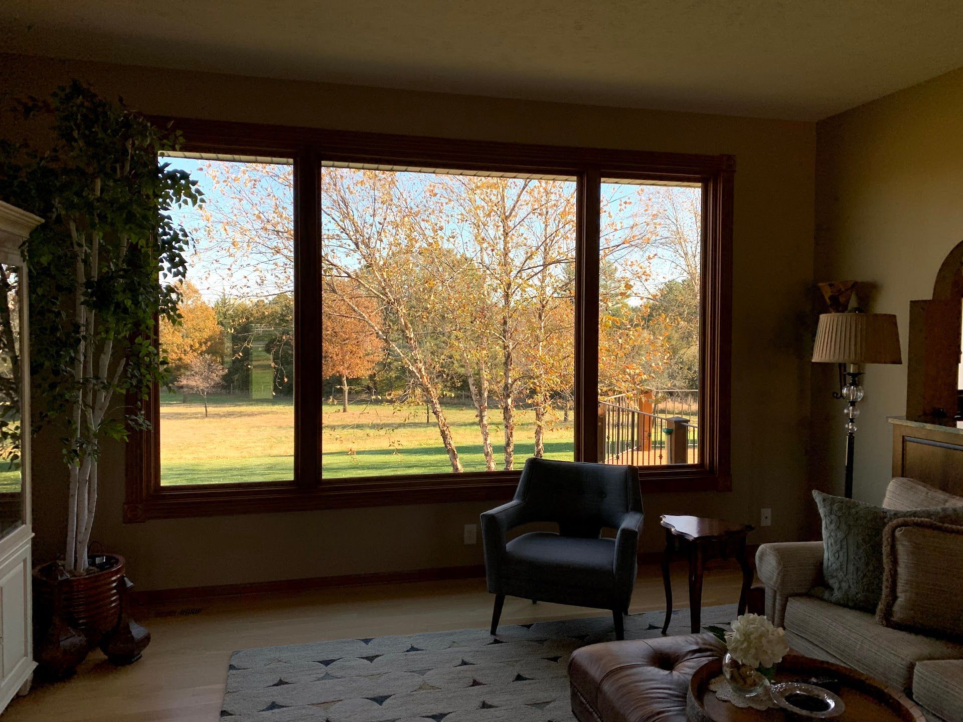 Living room, Alysheba Lane Remodel
