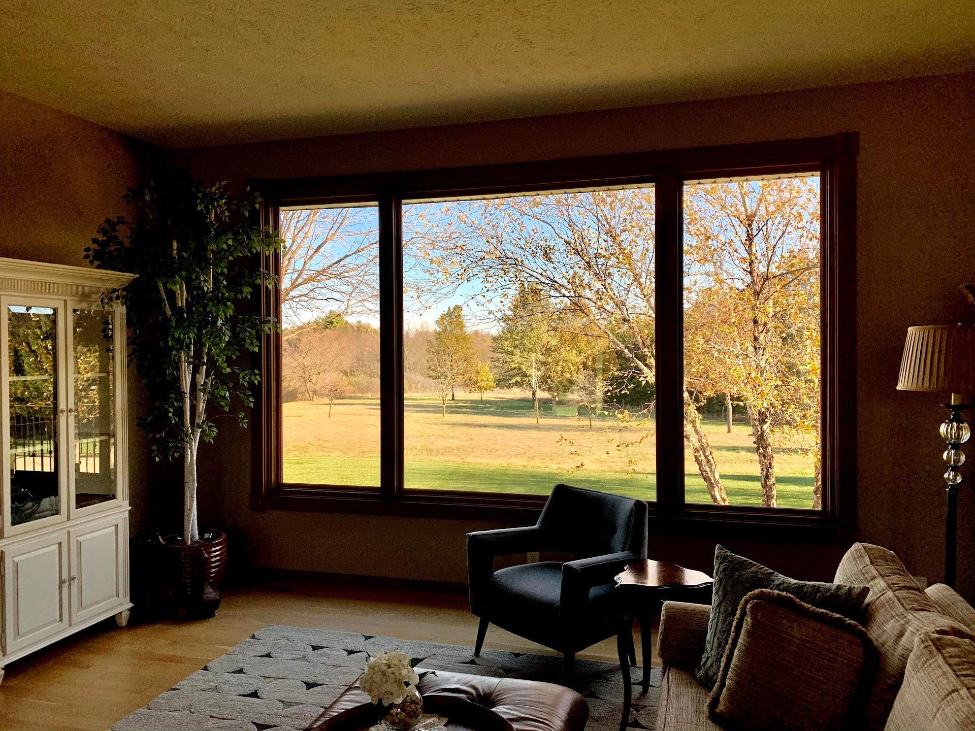 Living room, Alysheba Lane Remodel