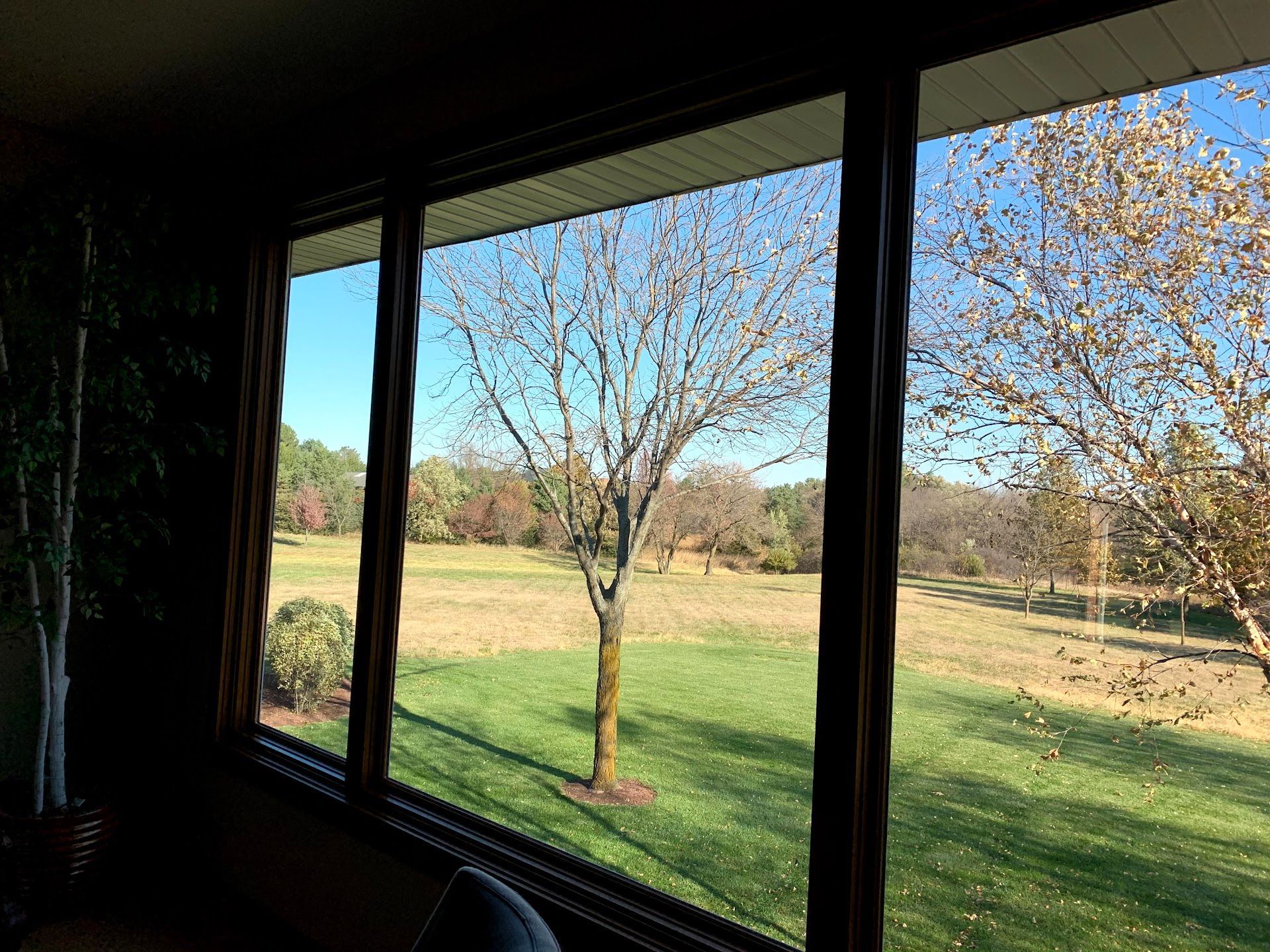 Living room, Alysheba Lane Remodel