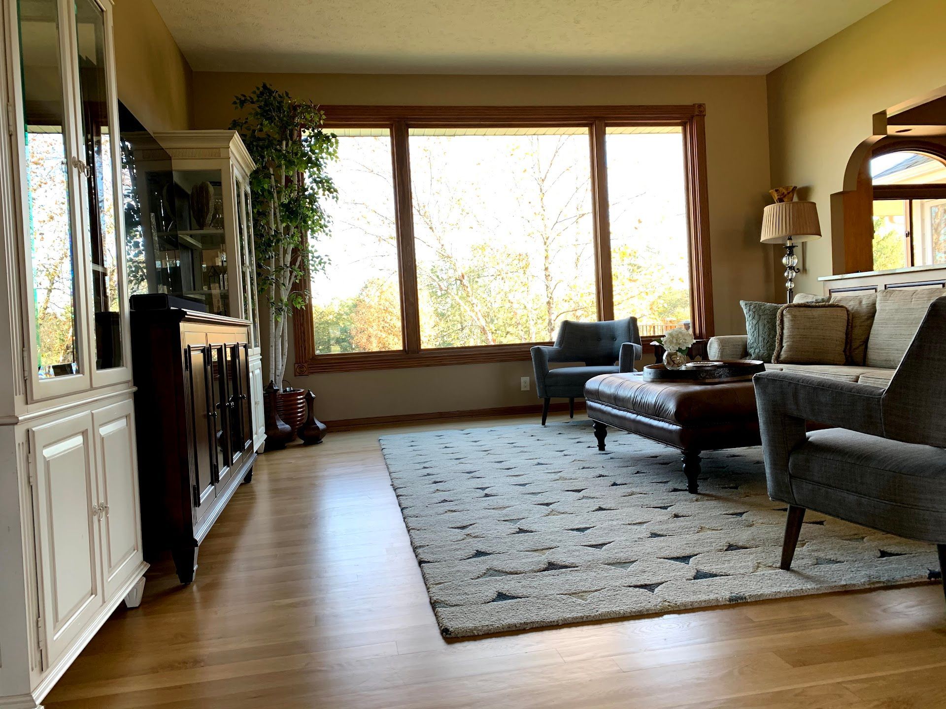 Living room, Alysheba Lane Remodel
