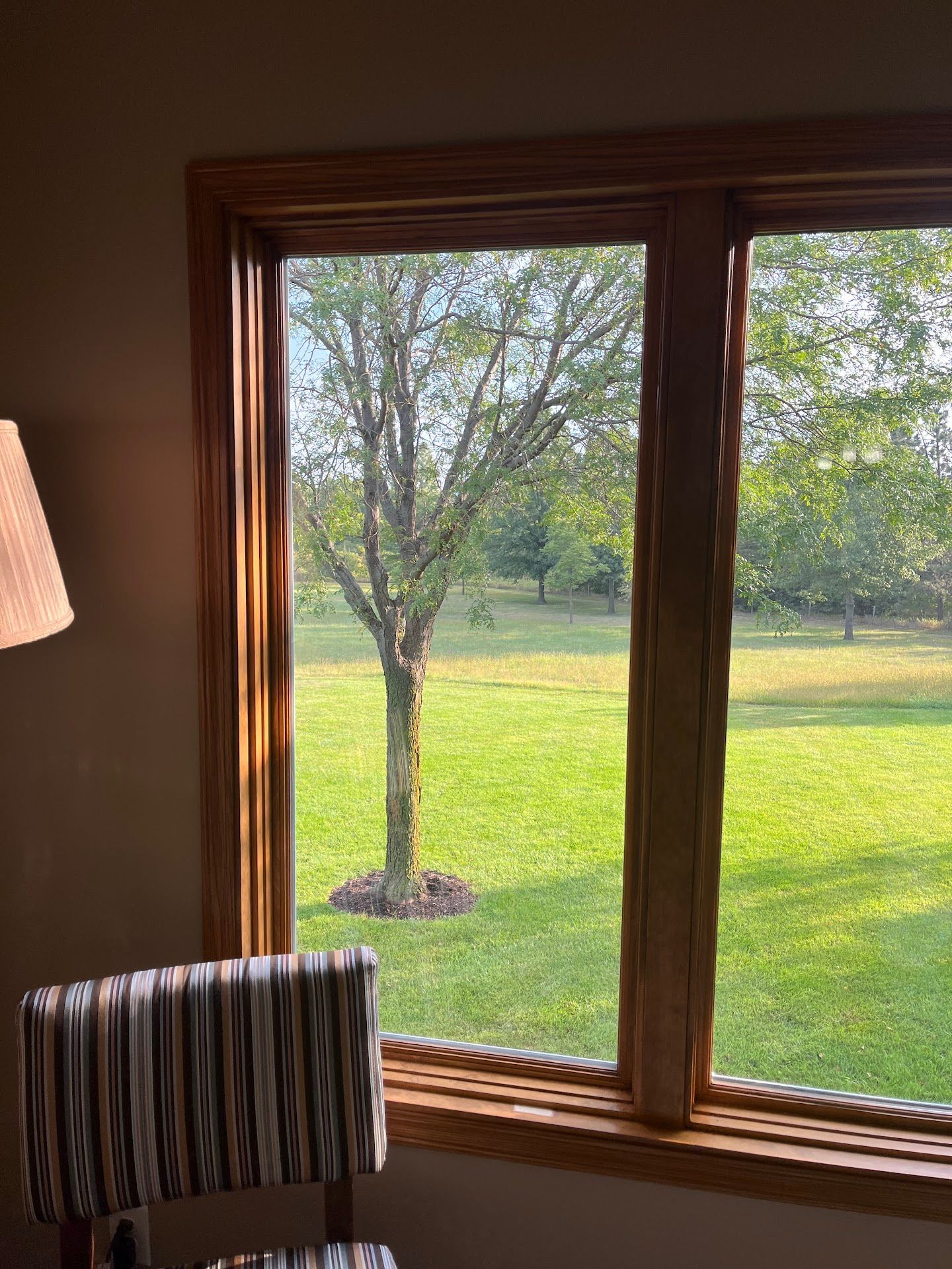 Living room, Alysheba Lane Remodel