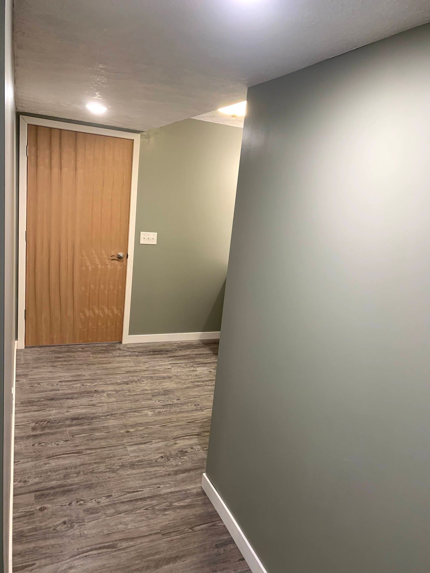 Locust Street Basement Finish