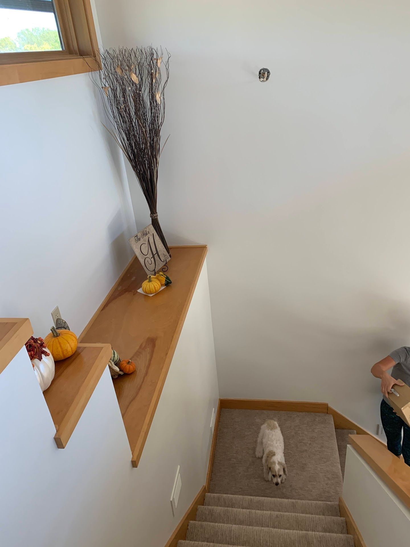 Staircase, Martell Road Remodel