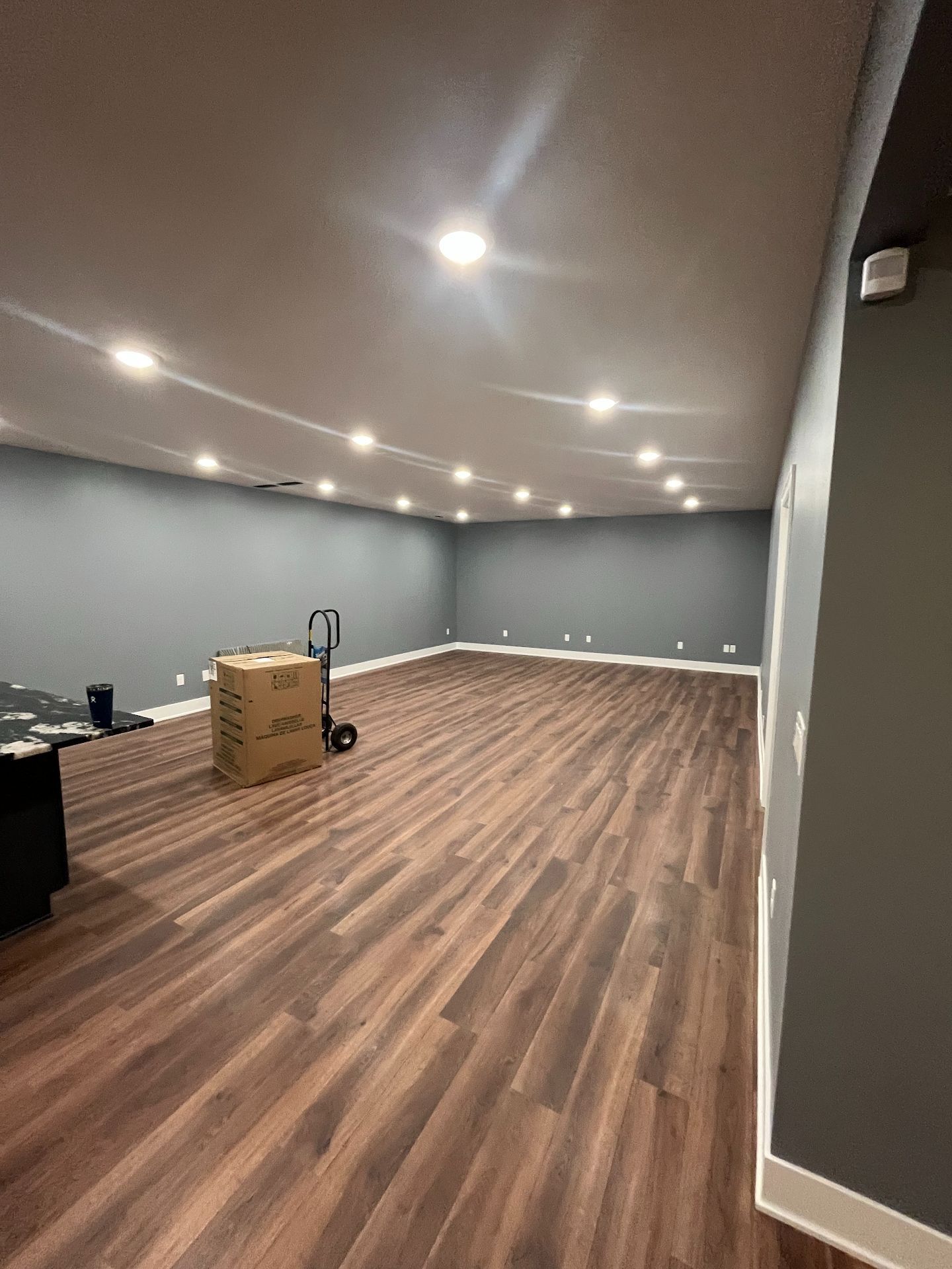 Rokeby Basement Remodel