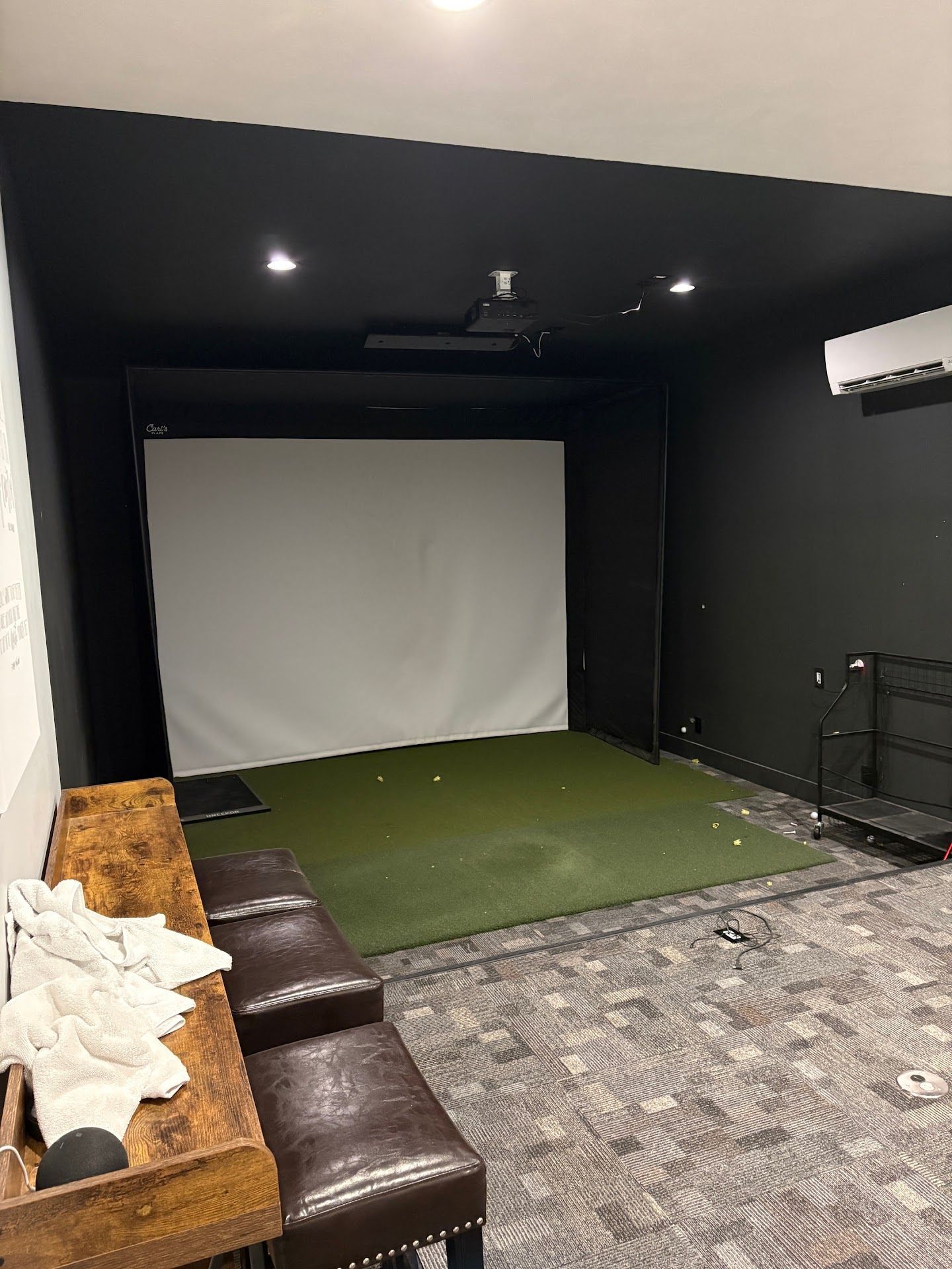 Basement, South 120th Golf Simulator
