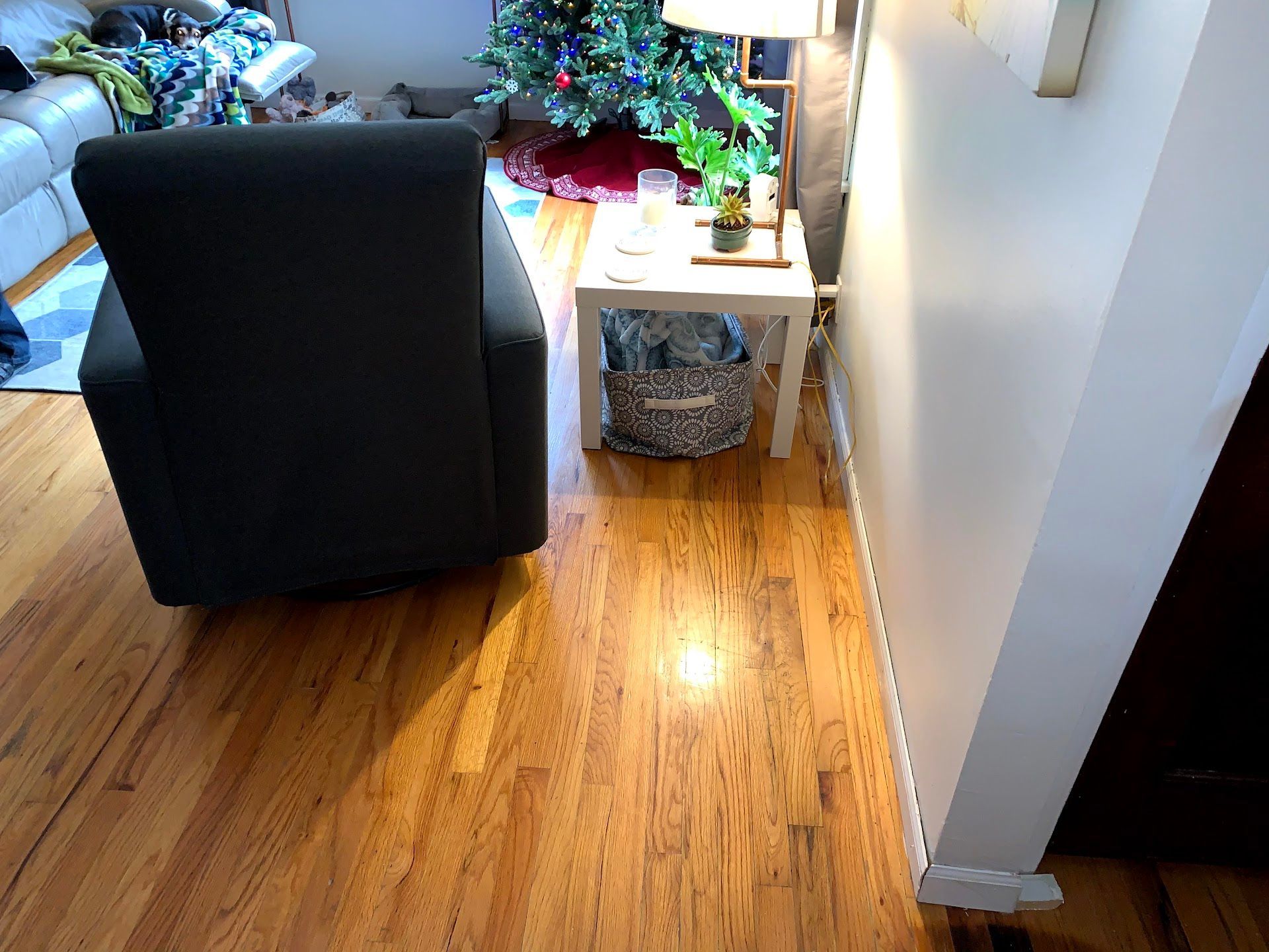 Living room, South 6th Remodel