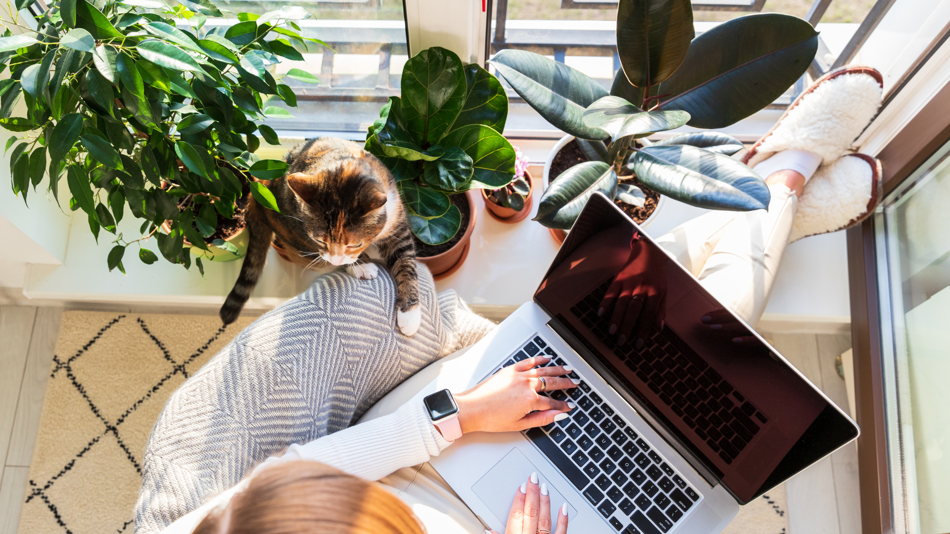 A woman is sitting on a window sill with a laptop and a cat.