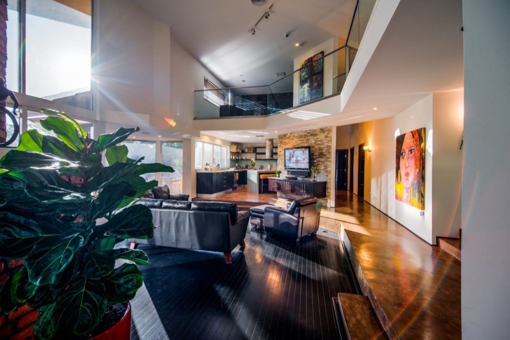 Modern living room with dark furniture, glossy wood floors, large plant, and colorful wall art