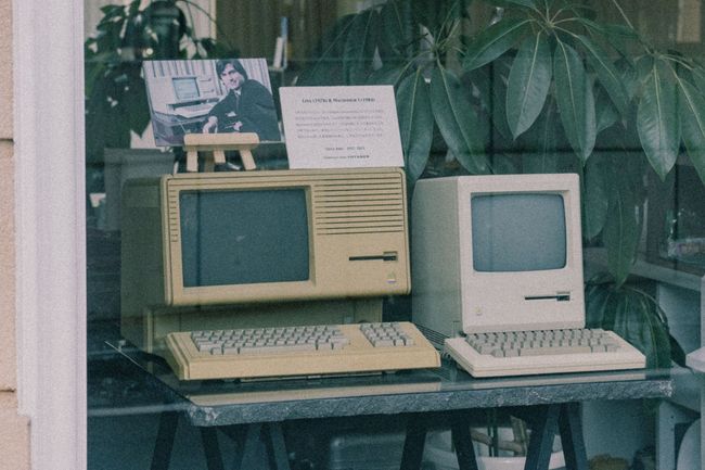 Two vintage desktop computers displayed beside plants