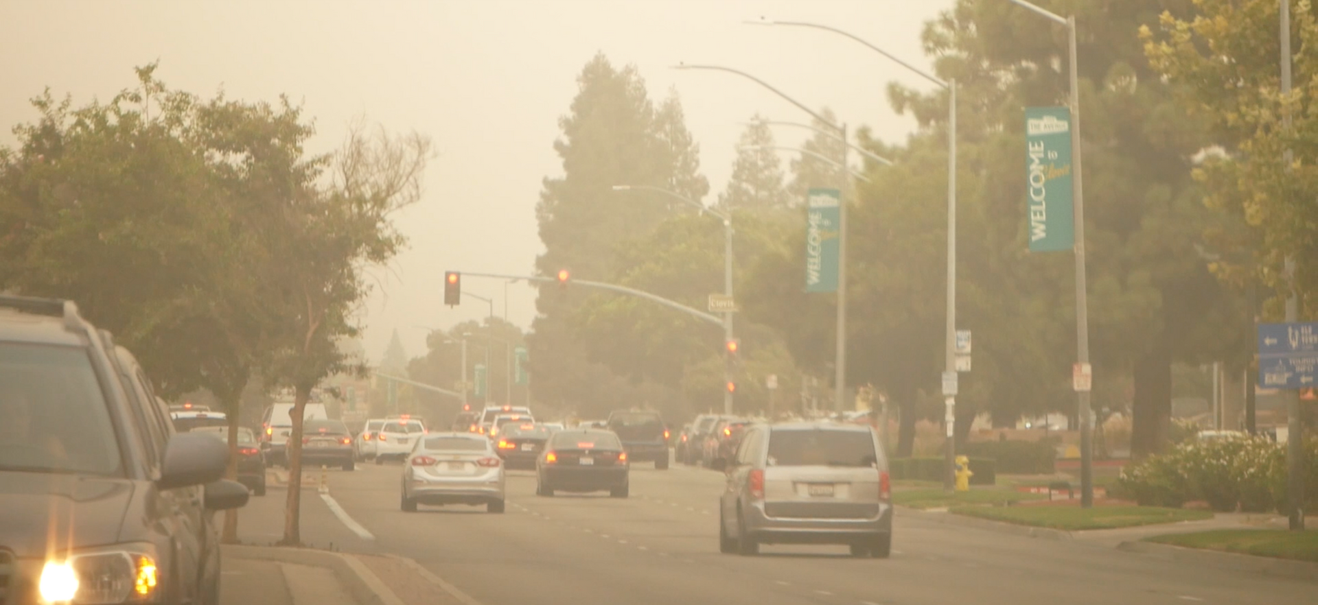 Cars drive on a smoggy road lined with trees and banners. The sky is hazy.