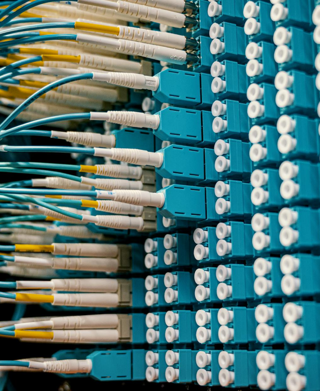 Blue and white fiber optic cables plugged into a network switch.