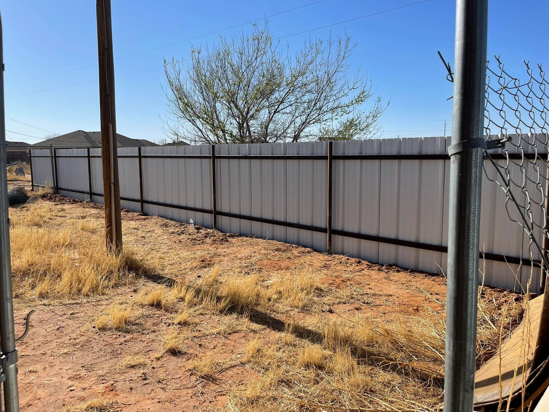 Dry backyard with a white fence, sparse trees, and a blue sky on a sunny day