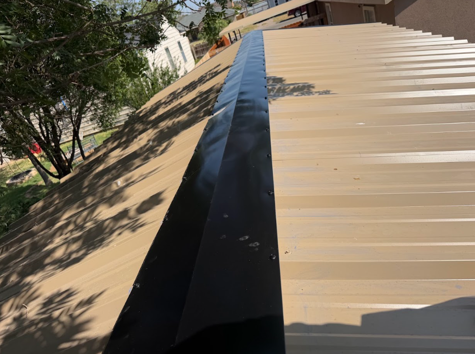 Tilted view of a beige metal roof with a black ridge cap and tree shadows