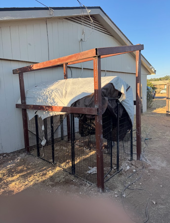 Metal-framed outdoor pen beside a shed, covered with tarps and plastic sheeting on dirt ground.