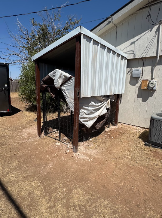 Covered outdoor animal pen beside a building, with torn white tarp and metal frame on dirt ground.