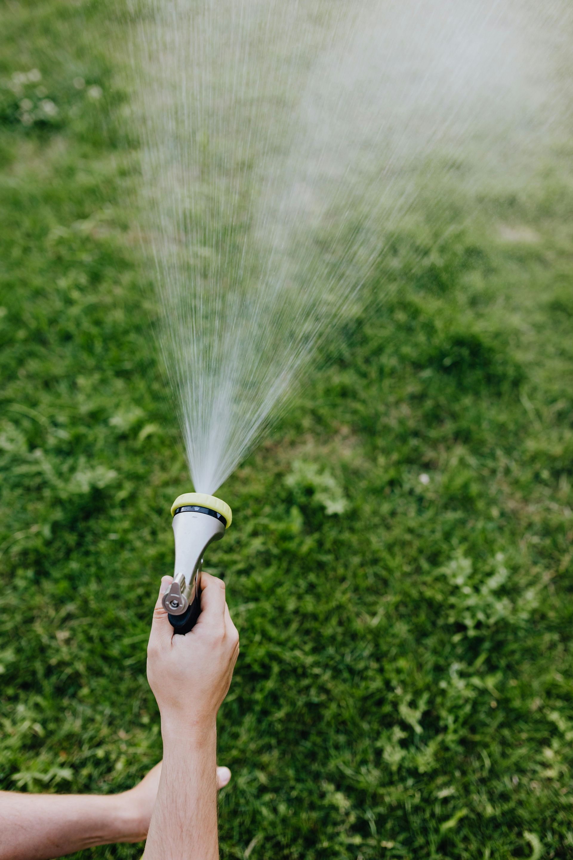 Eine Person sprüht Wasser aus einem Schlauch auf einen üppigen grünen Rasen.
