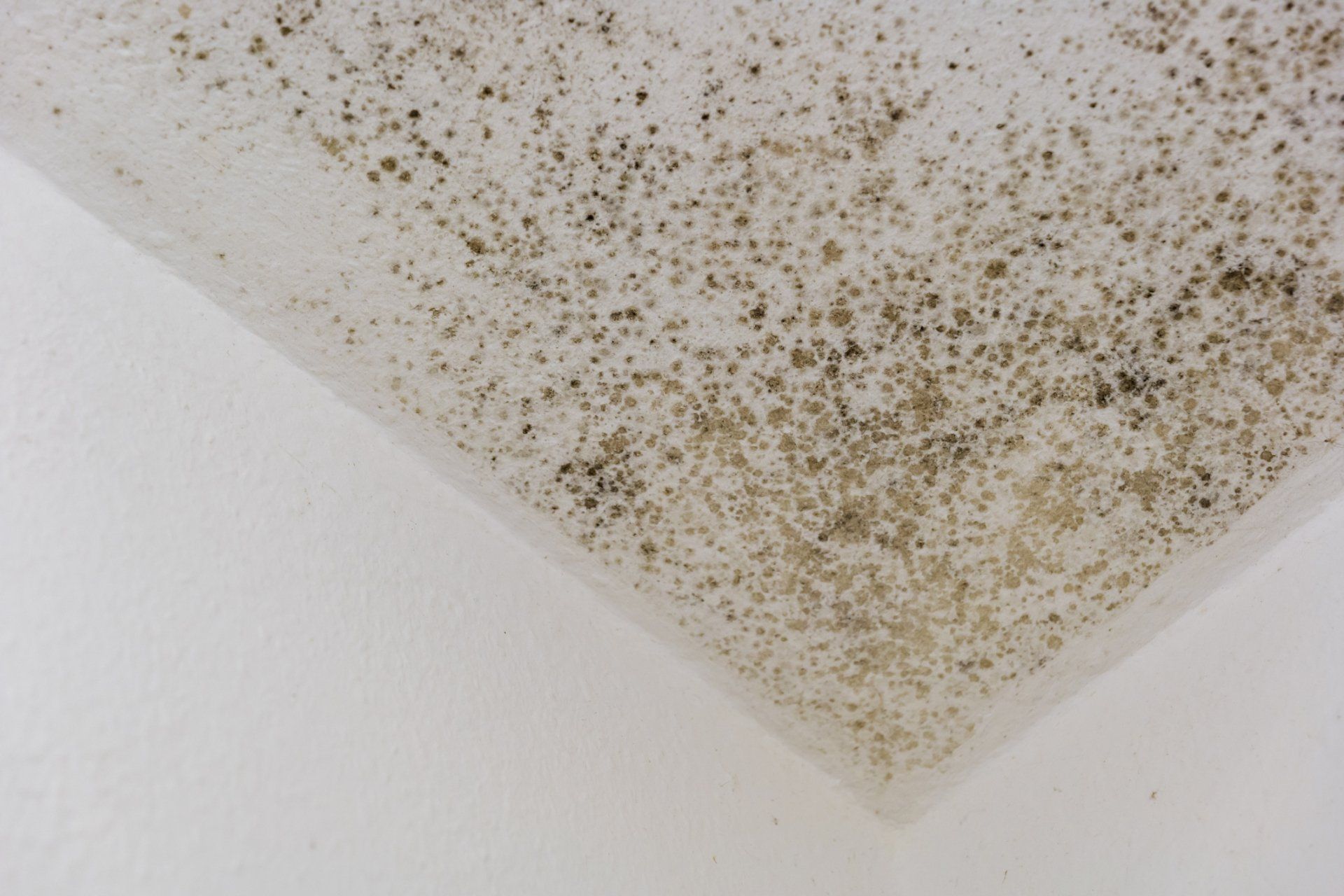 Office Buildings — Broward County, FL — Indoor Air Quality Corporation