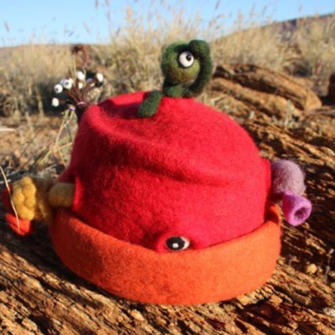 A red hat with a green frog on top of it