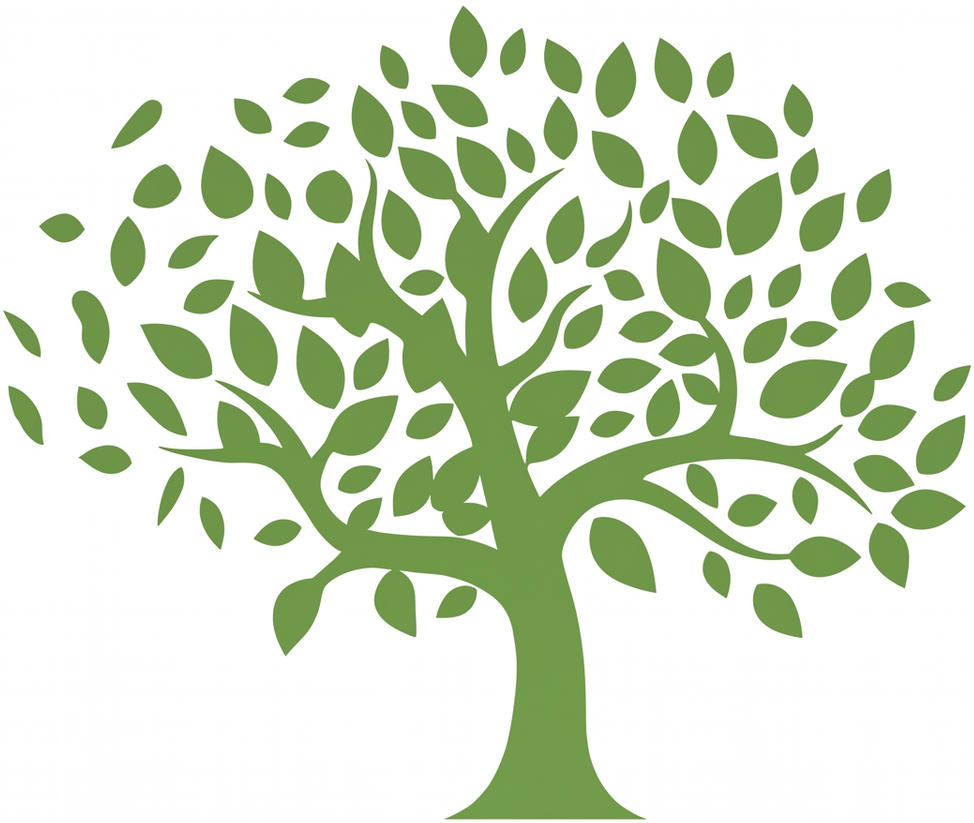 Green stylized tree with a full canopy of leaves on a white background