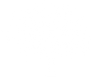 Green stylized tree with a full canopy of leaves on a white background