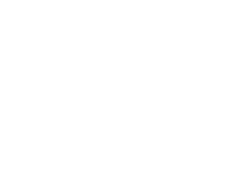 Green stylized tree with a full canopy of leaves on a white background