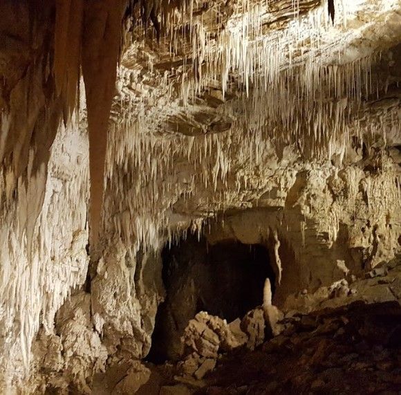 Palm Court Motel - Waitomo Caves