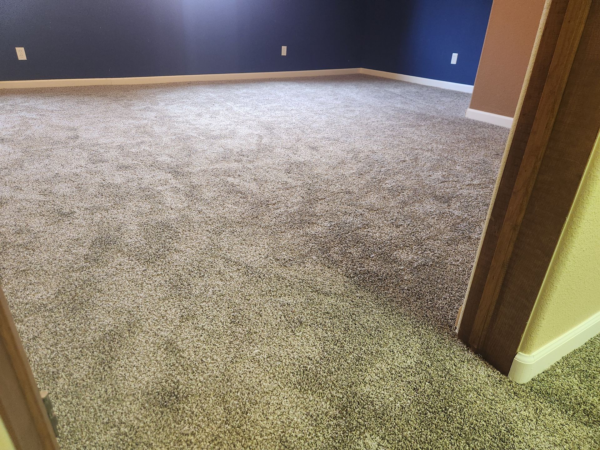 Empty carpeted room with blue walls and a doorway in the foreground