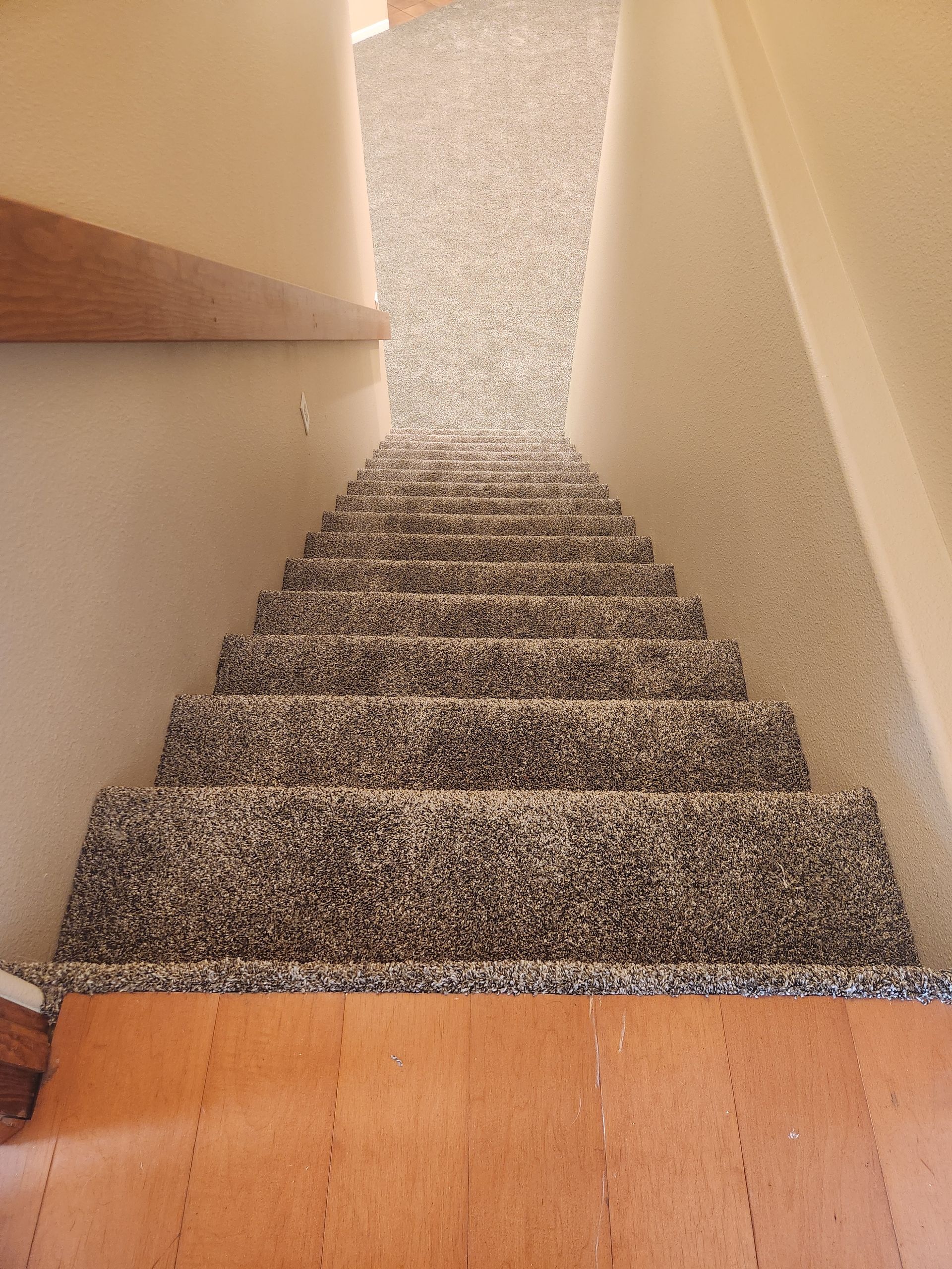 Carpeted staircase viewed from the top, with beige walls and a wooden floor at the landing.
