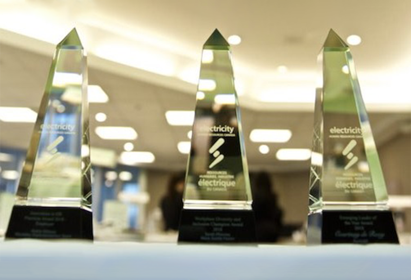A row of trophies with the word electricity on them